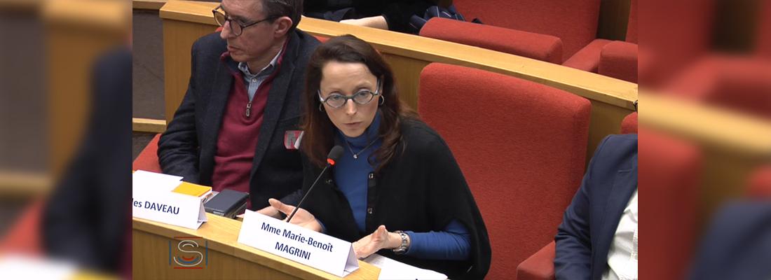 illustration Les légumineuses, au cœur des propositions du Sénat pour une alimentation durable.