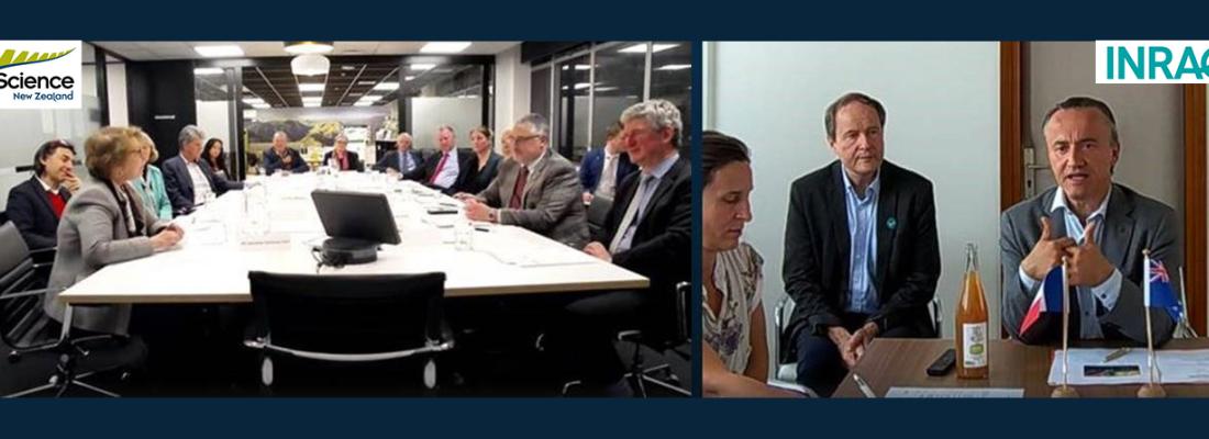 illustration International scientific collaboration: an agreement between Science New Zealand – federating eight research institutes - and INRAE