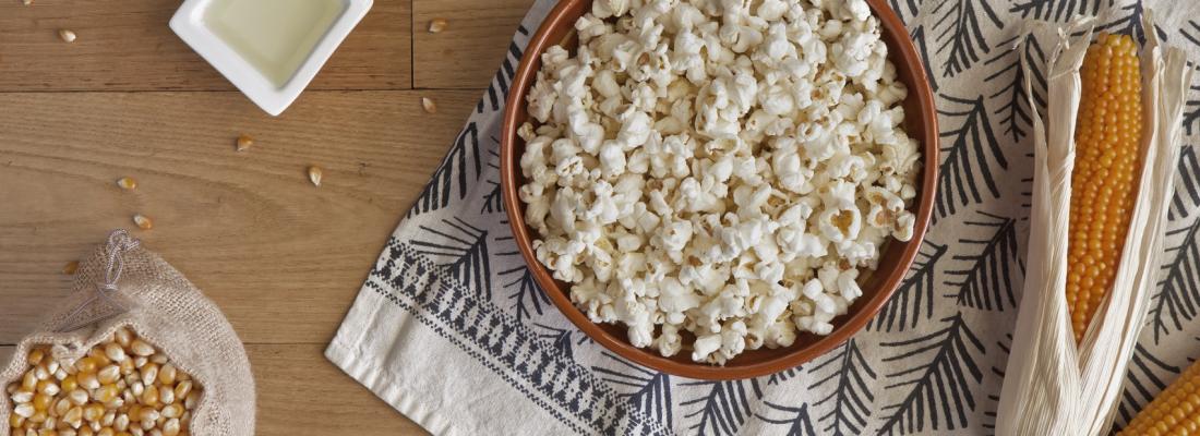 illustration Nataïs, leader européen du popcorn, signe un accord avec INRAE, l'Université Paul Sabatier, Agro d'Oc et STMS pour engager cette filière au coeur de la transition écologique