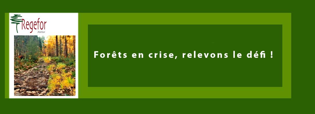 illustration 7e Atelier REGEFOR (REcherche et GEstion FORestière)