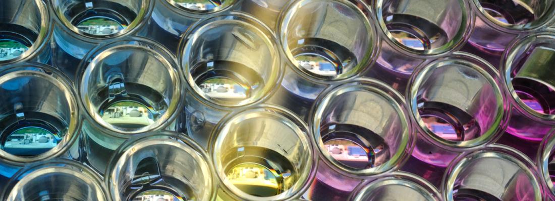 illustration SARS-CoV-2 : les laboratoires INRAE en action