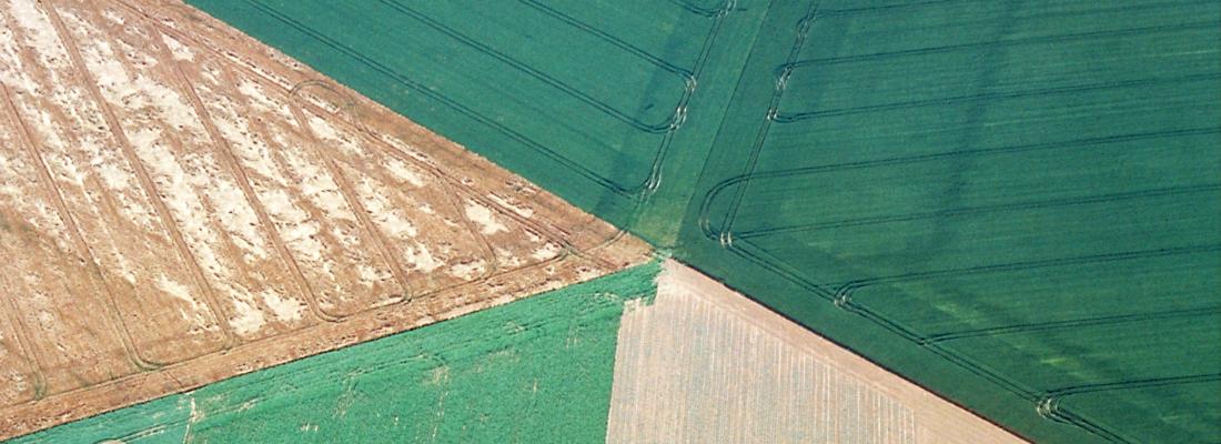 illustration Des mosaïques de cultures plus complexes pour une plus grande biodiversité dans les paysages agricoles