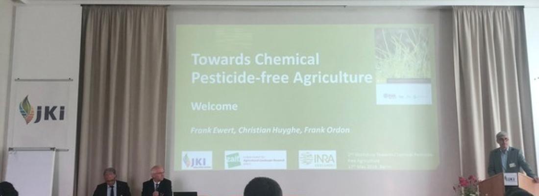 illustration Agriculture sans pesticides : INRAE moteur dans la construction d’une feuille de route européenne