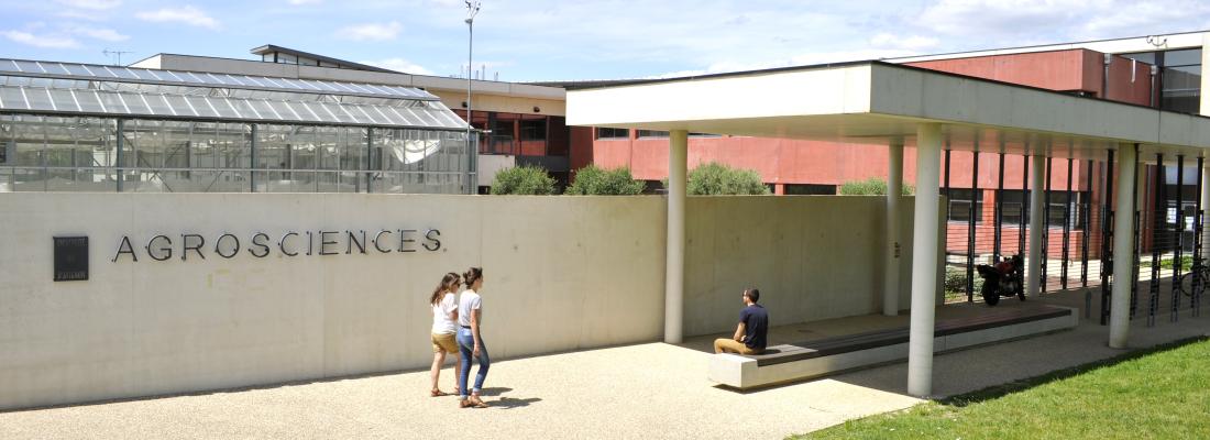 illustration Mise en oeuvre de l'École Universitaire de Recherche IMPLANTEUS à la rentrée universitaire 2020