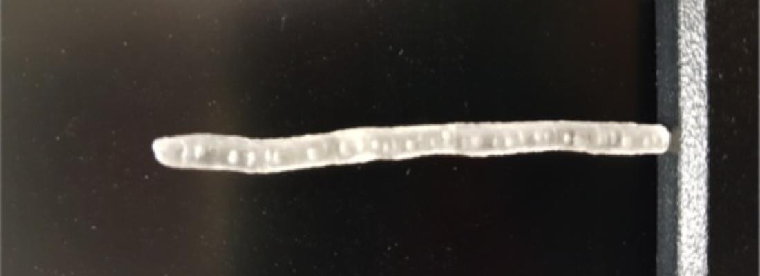 Cylindre d'amidon extrudé
