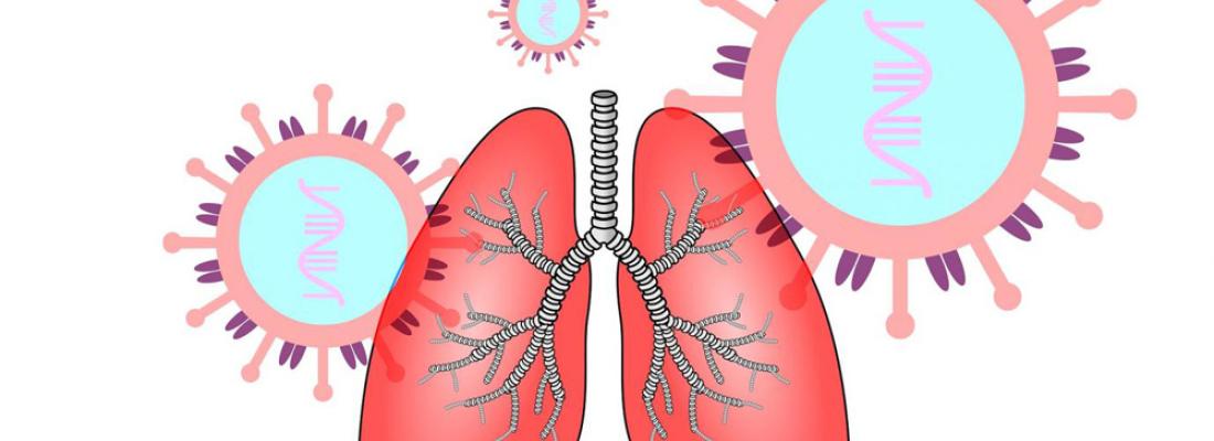 illustration ICARE : cartographier les cellules du poumon ciblées par le SARS-CoV-2