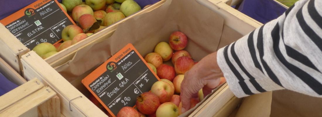 illustration Ici.C.Local valorise les circuits courts dans les territoires