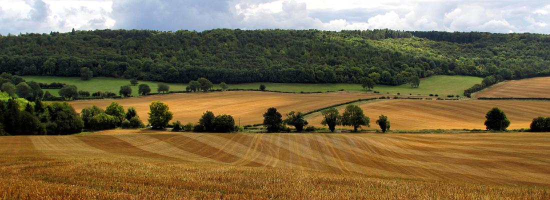 illustration Fonds Européen Agricole pour le Développement Rural : développer des outils d’appui pour le suivi et l’évaluation d’une politique