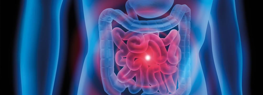 illustration Microbiota, the intestinal revolution - Feed your microbiota
