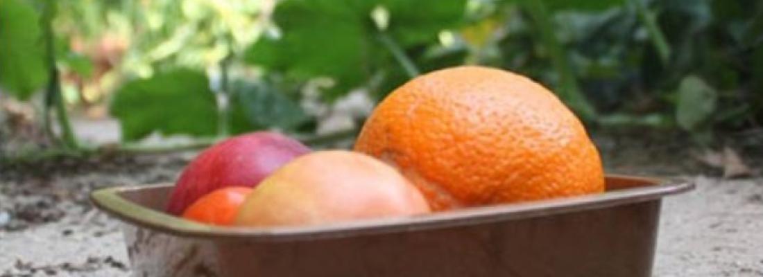 illustration New food packaging materials made using agri-industrial wastes