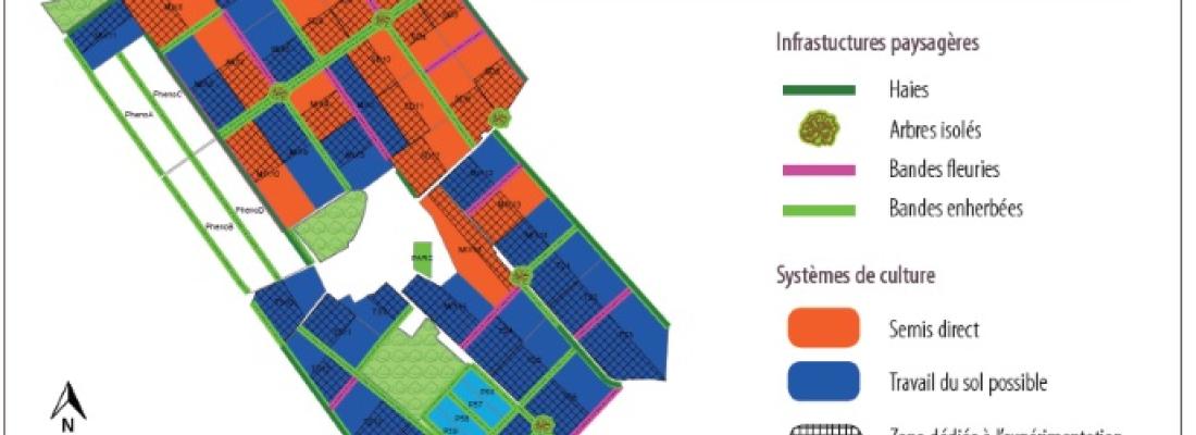 illustration CA-SYS : plateforme collaborative d’expérimentations en agroécologie