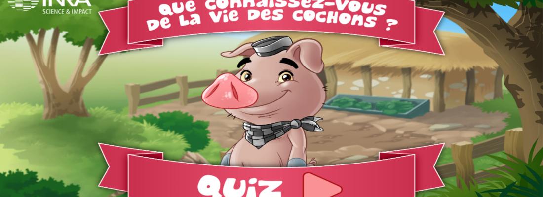 illustration Que connaissez-vous de la vie des cochons ?