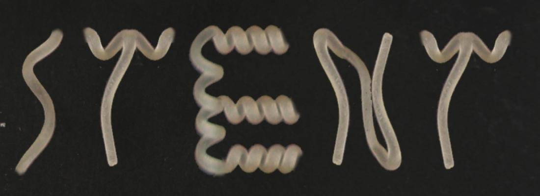 Stent à mémoire de forme en amidon
