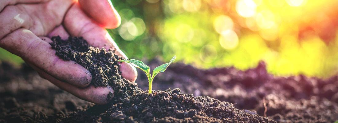 illustration L'Inra et Irstea publient un rapport d'activité 2019 commun
