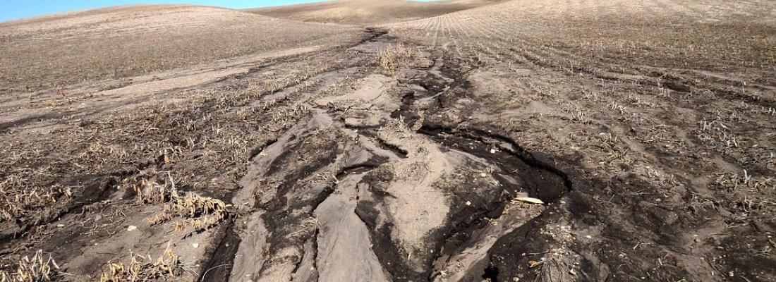 illustration Les activités humaines augmentaient déjà l’érosion des sols il y a 4000 ans