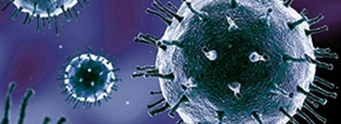 illustration Analyse de la protéine qui permet au SARS-CoV-2 d’infecter les cellules