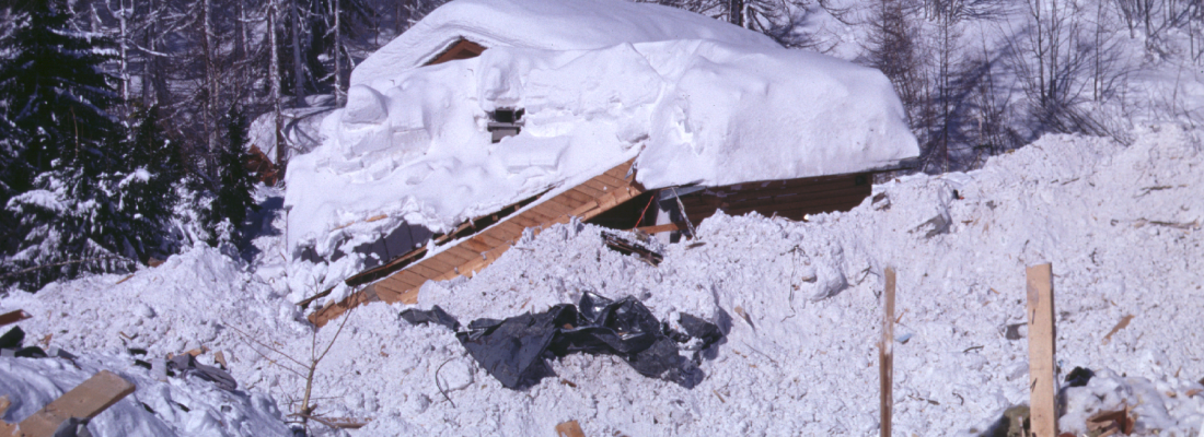 illustration La puissance des avalanches