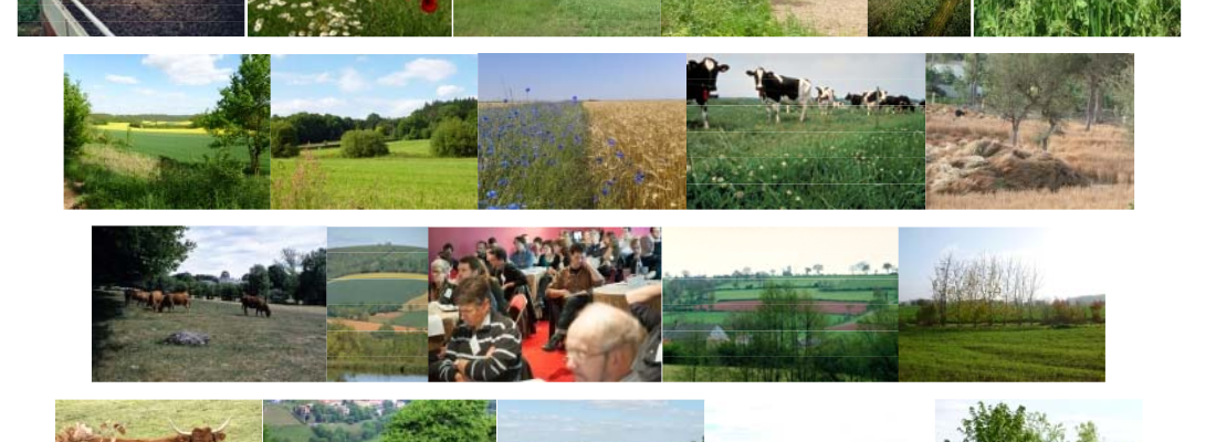 illustration Une réflexion prospective interdisciplinaire pour l’agroécologie