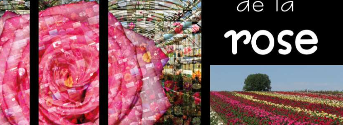 illustration Colloque RosesMonde