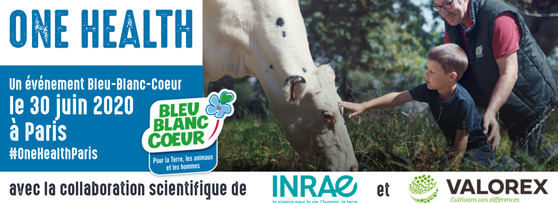 illustration Séminaire One Health