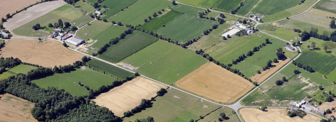 illustration Gestion coopérative du contrôle biologique : une affaire de parcellaire agricole