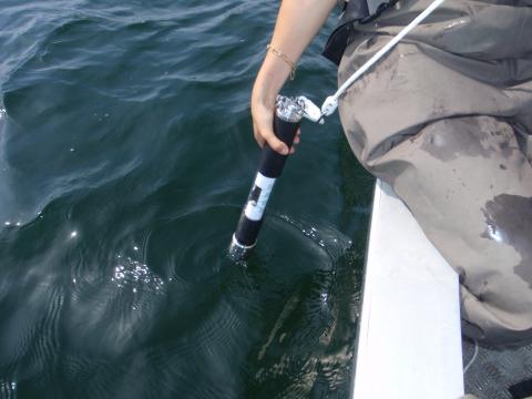 Sonde fluorimétrique AlgaeTorch  - résultats instantanés, analyse quantitative de la quantité estimée de chlorophylle associée aux cyanobactéries-Crédit photo C. Laplace-Treyture