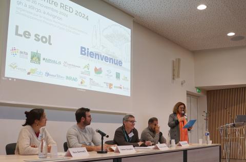 Table ronde de la Rencontre RED 2024 "Le Sol"