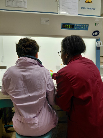Un mercredi  "apprentis-chercheurs" au labo DMEM d'INRAE Montpellier
