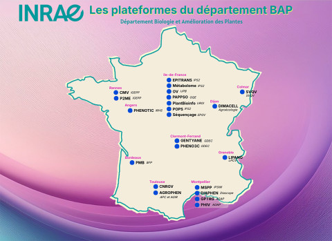 Carte des plateformes du département BAP