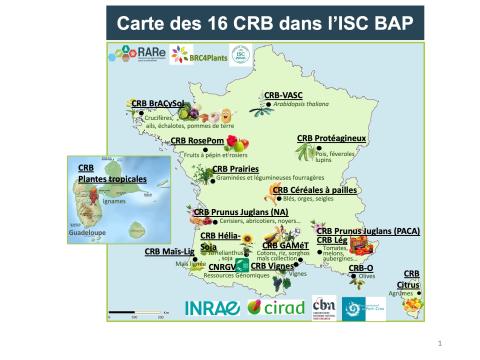 Carte des 16 CRB BAP