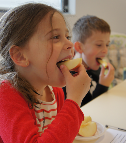 Identifiant scientifique Alimentation Goût Sensorialité - Centre INRAE Bourgogne-Franche-Comté