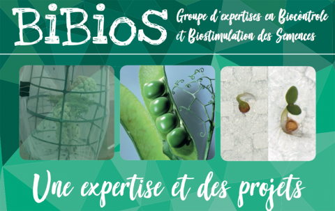 Groupe d’expertise en Biocontrôle et Biostimulation des Semences (BiBioS)