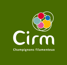 logo CIRM-CF vert