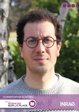 Photo de Cristophe Djemiel