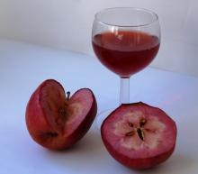 Pommes pour des jus et cidres rosés