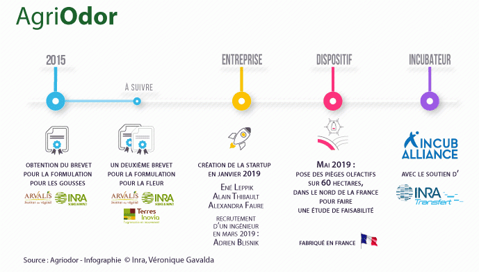 Infographie pour le 3 questions à une jeune pousse sur Agriodor