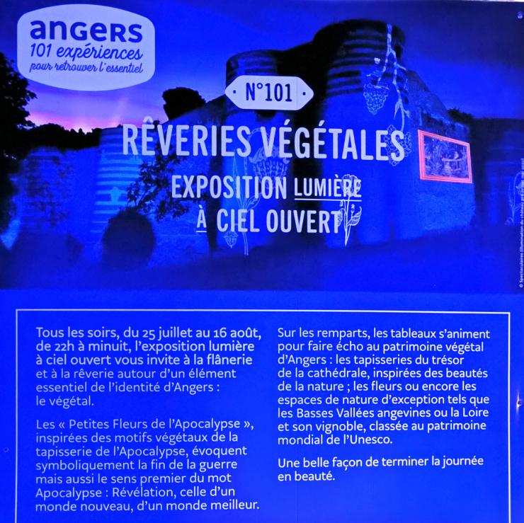 Rêveries végétales à Angers