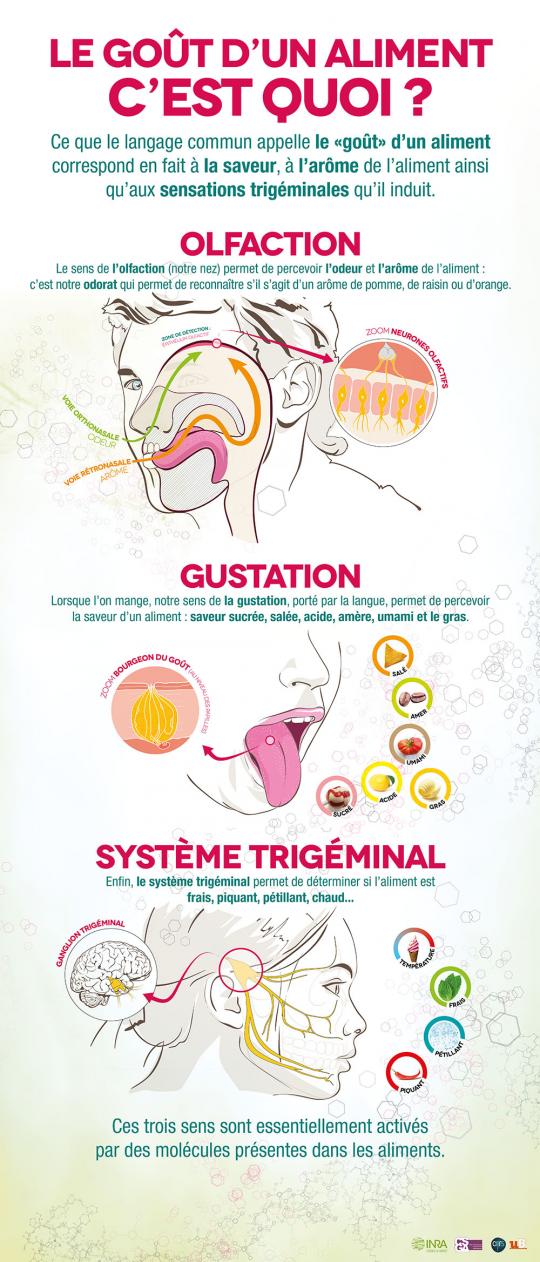 Consulter l'infographie en taille originale