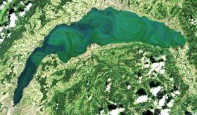 Bloom algal observé en septembre 2021 sur le Léman