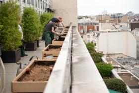 VégVégétalisation des terrasses du centre siège Inrae à Paris. Un potager va être créé.