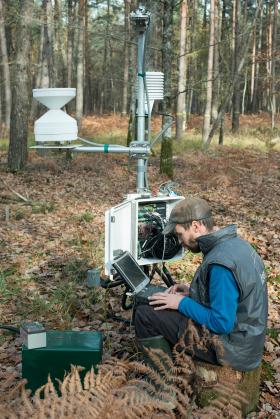 Relevé des mesures en forêt