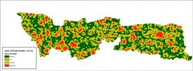 Hedgerow network grain (final state)