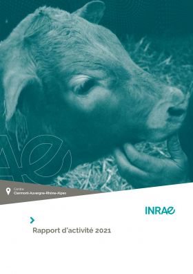 Couverture du rapport d'activité du Centre Clermont-Auvergne-Rhône-Alpes 2021
