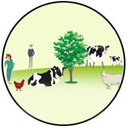 Favoriser l'élevage à l'herbe et les coproduits de culture