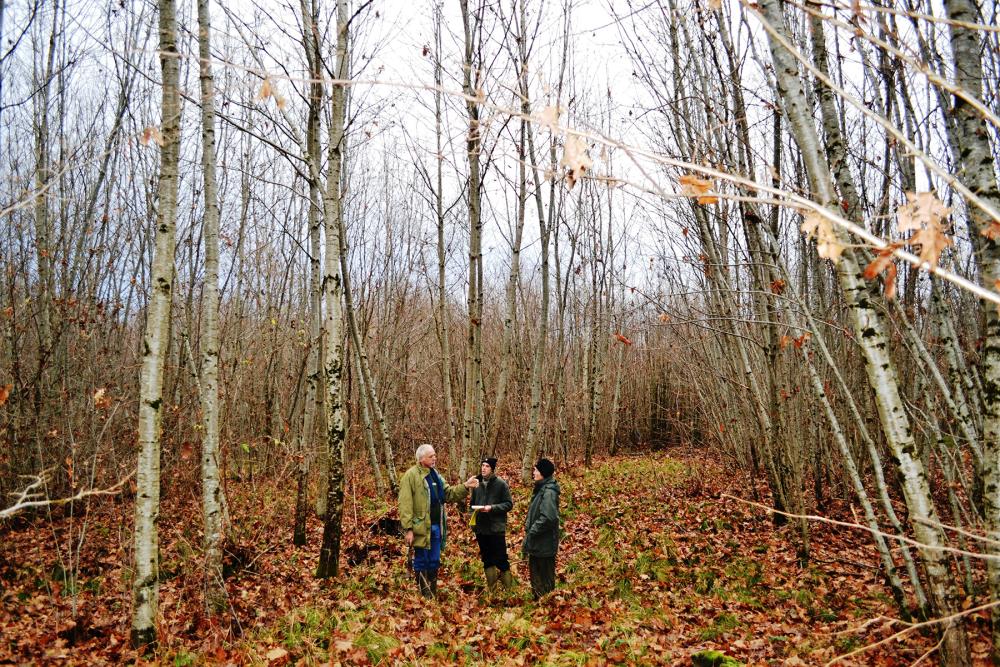 Quelles politiques publiques pour des forêts privées ?