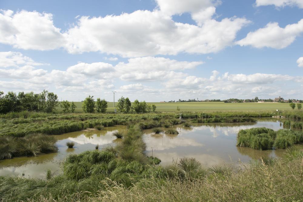 Les solutions fondées sur la Nature 