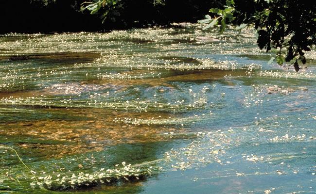 Water JPI - Initiative de programme conjoint sur l'eau et partenariat européen Water4All