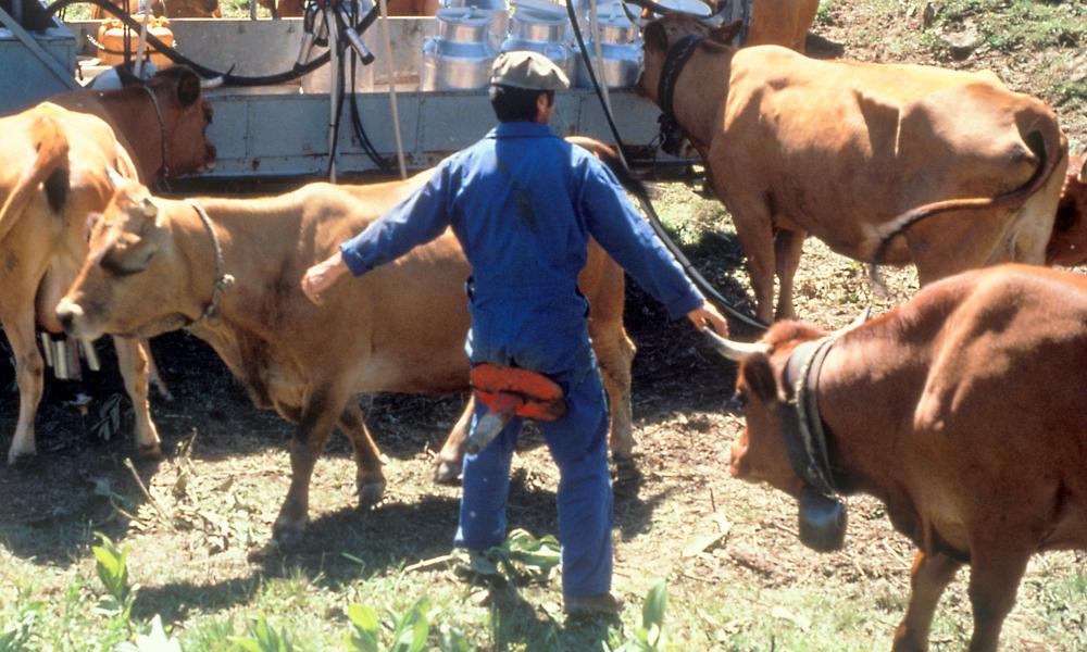 RMT  Travail en agriculture