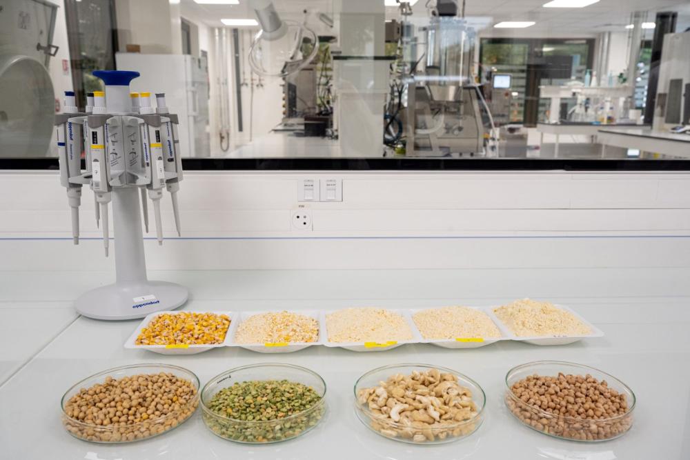 Le goût, moteur d'une alimentation durable