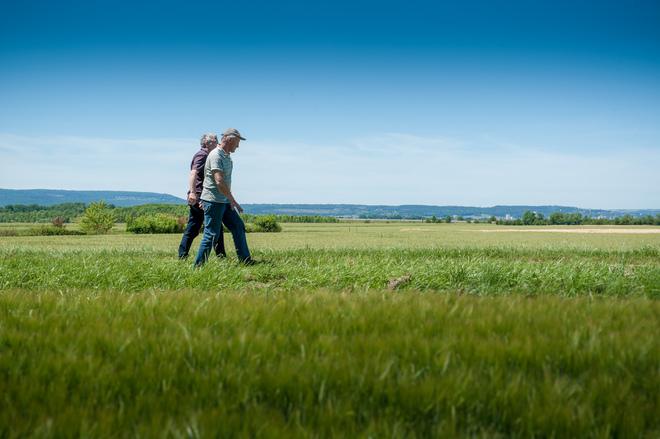 Des recherches aux solutions pour une agriculture durable